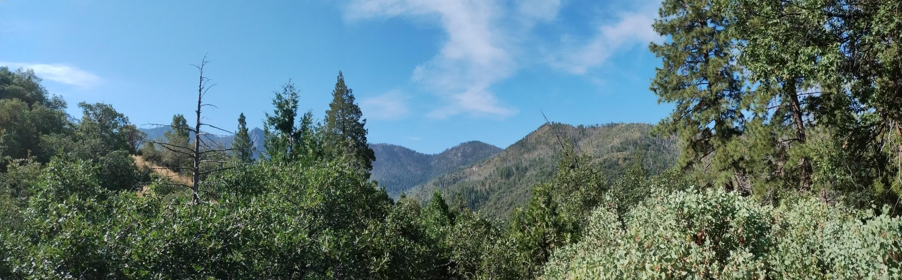 00 Mariposa Drive