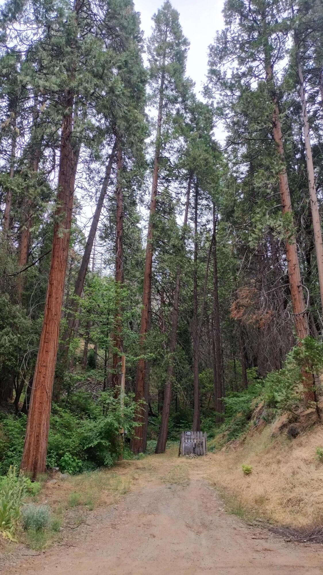 00 Mariposa Drive