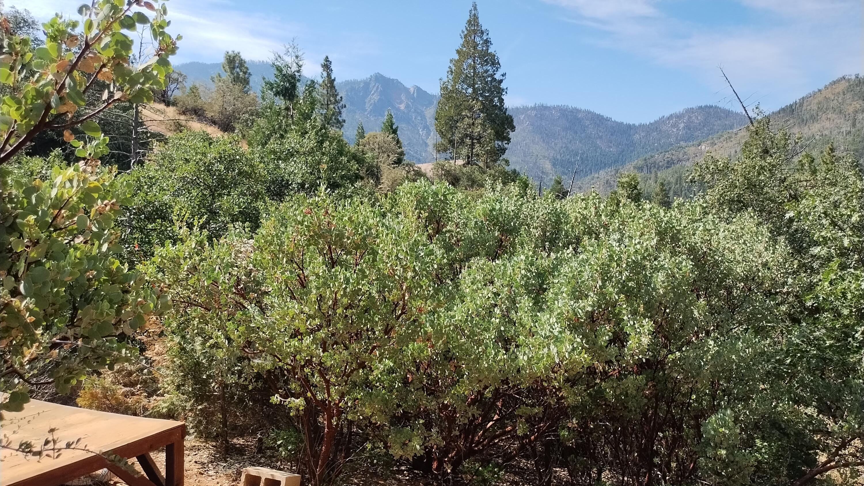 00 Mariposa Drive