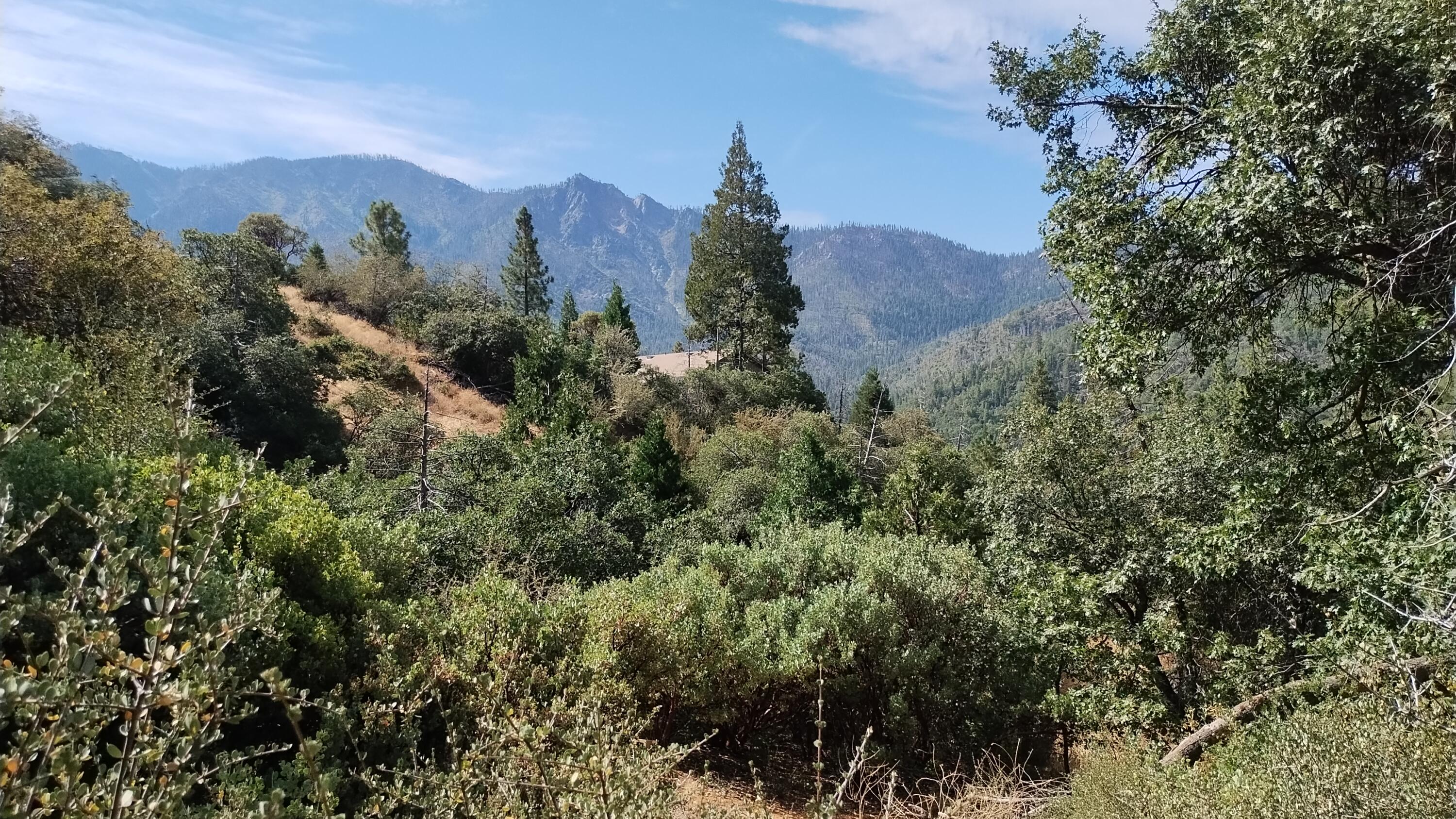 00 Mariposa Drive