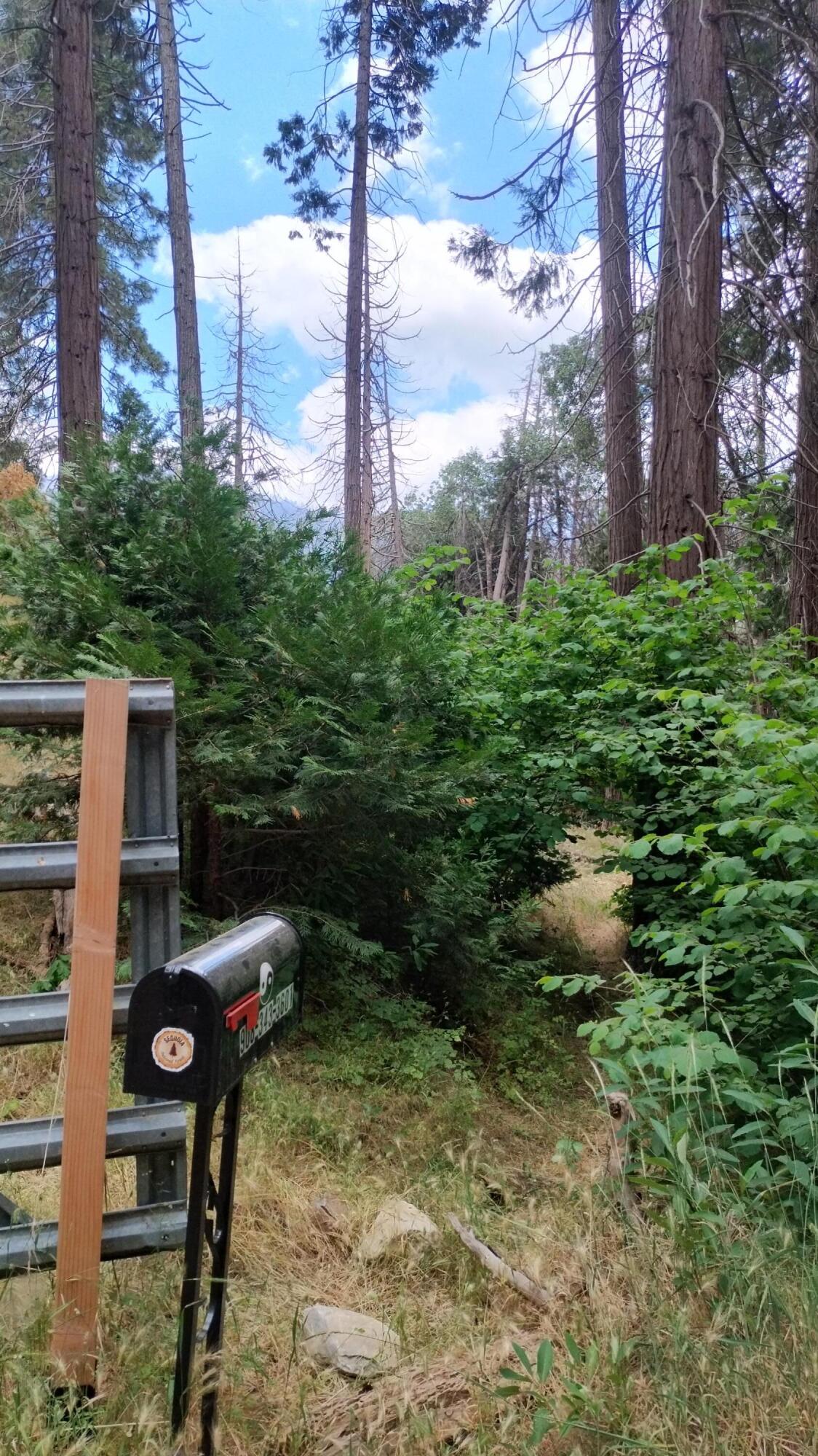 00 Mariposa Drive