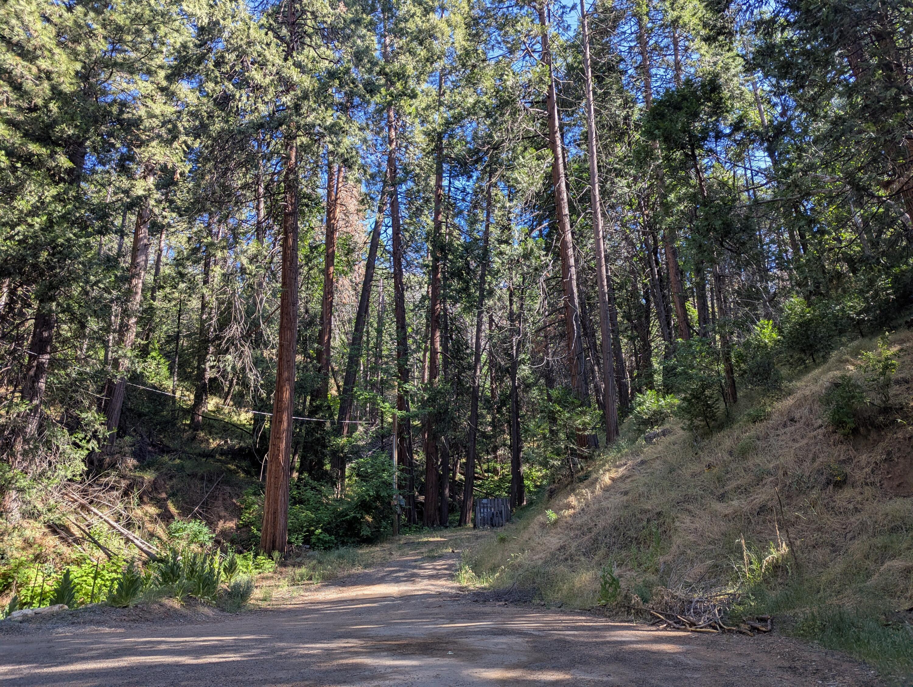 00 Mariposa Drive