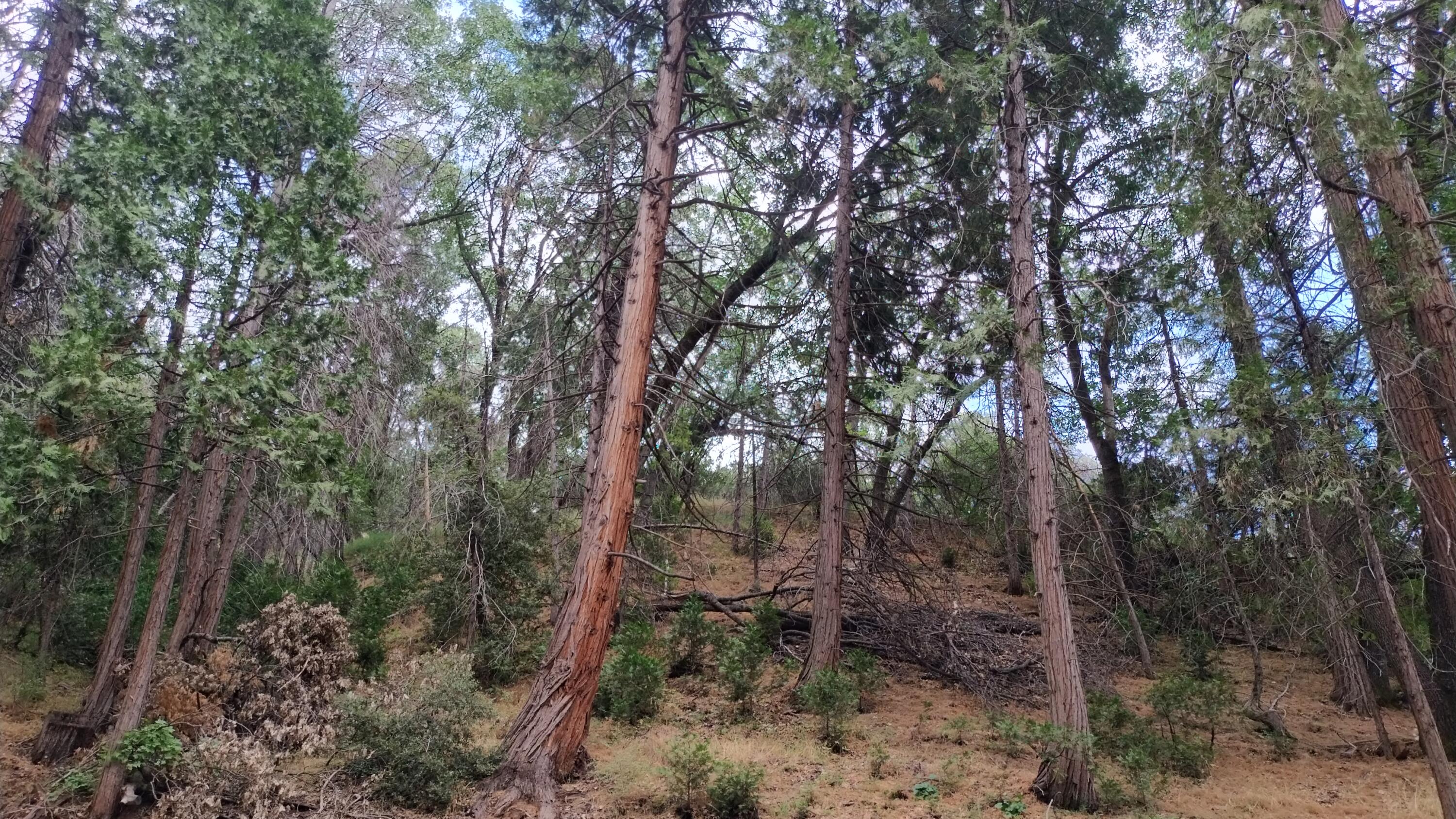 00 Mariposa Drive