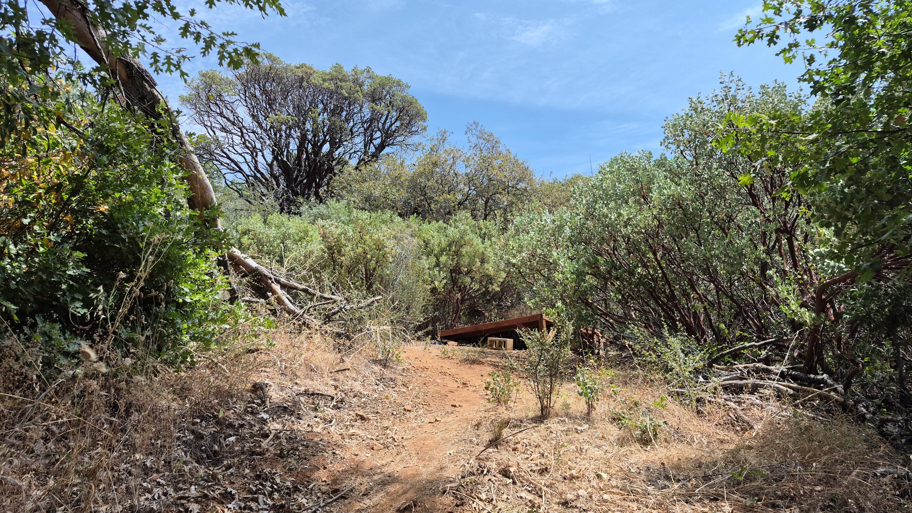 00 Mariposa Drive
