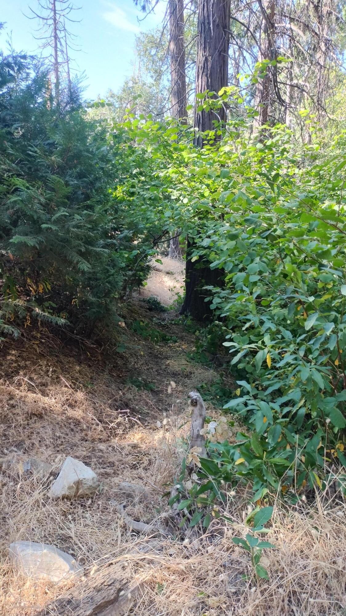 00 Mariposa Drive