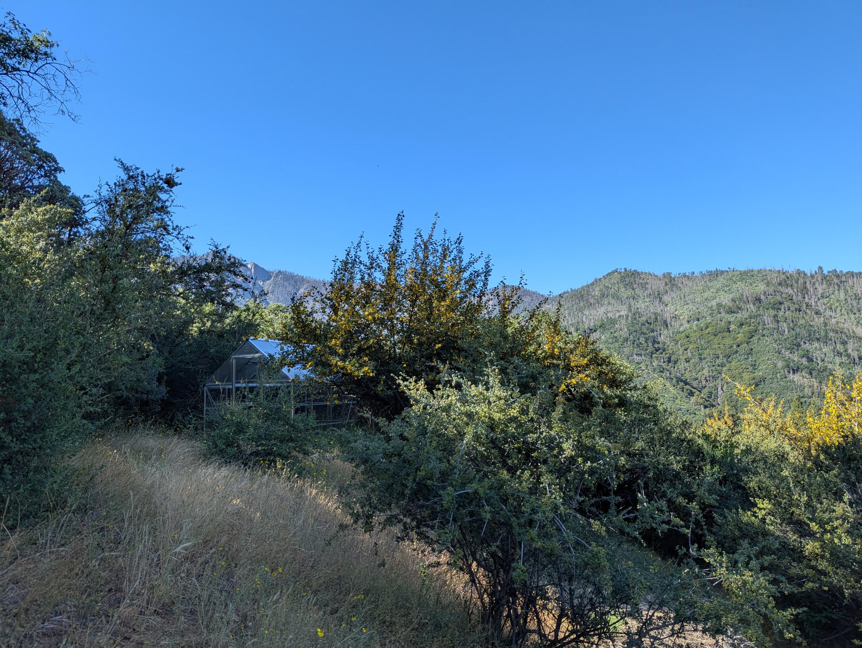 00 Mariposa Drive