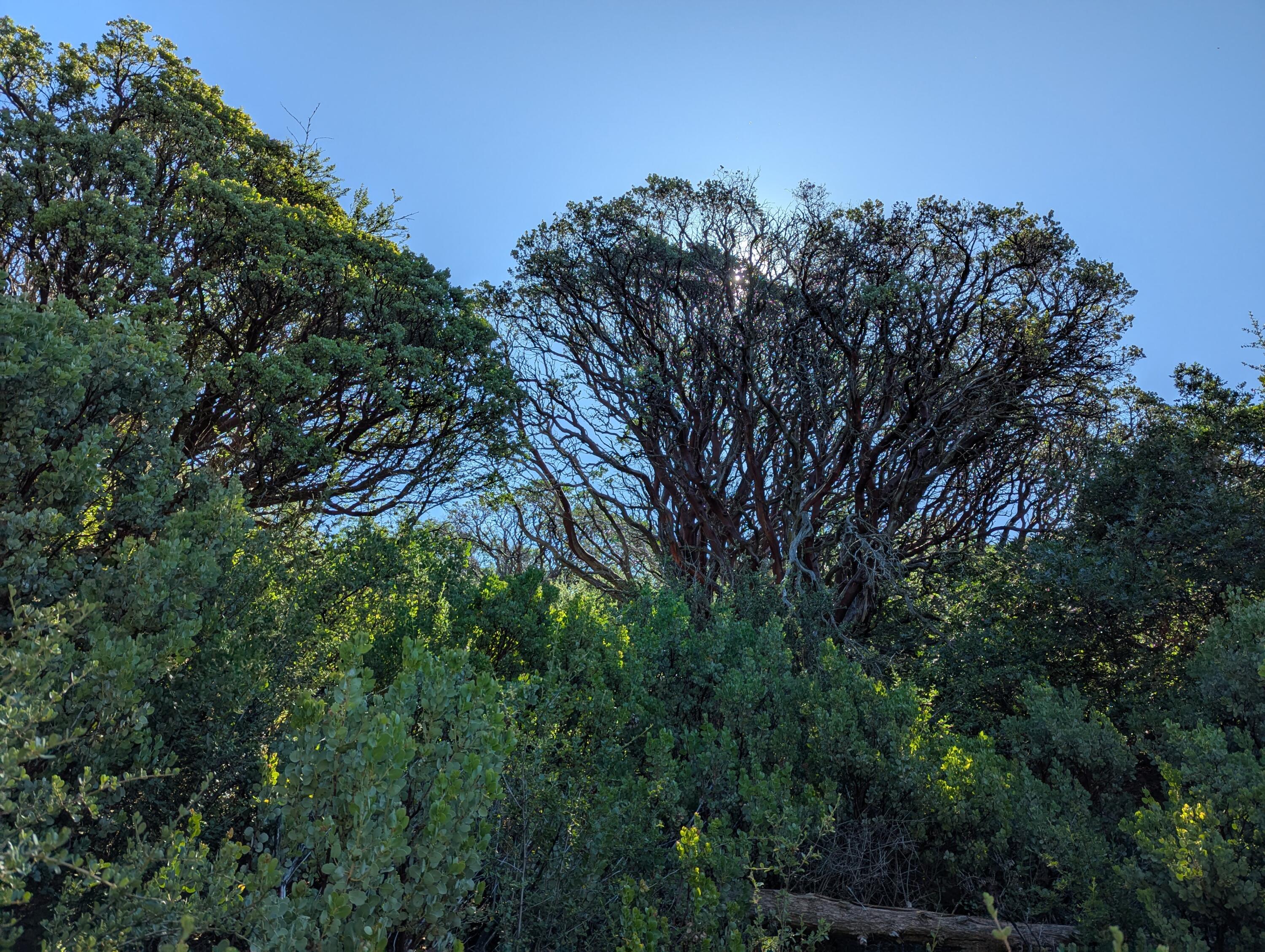 00 Mariposa Drive
