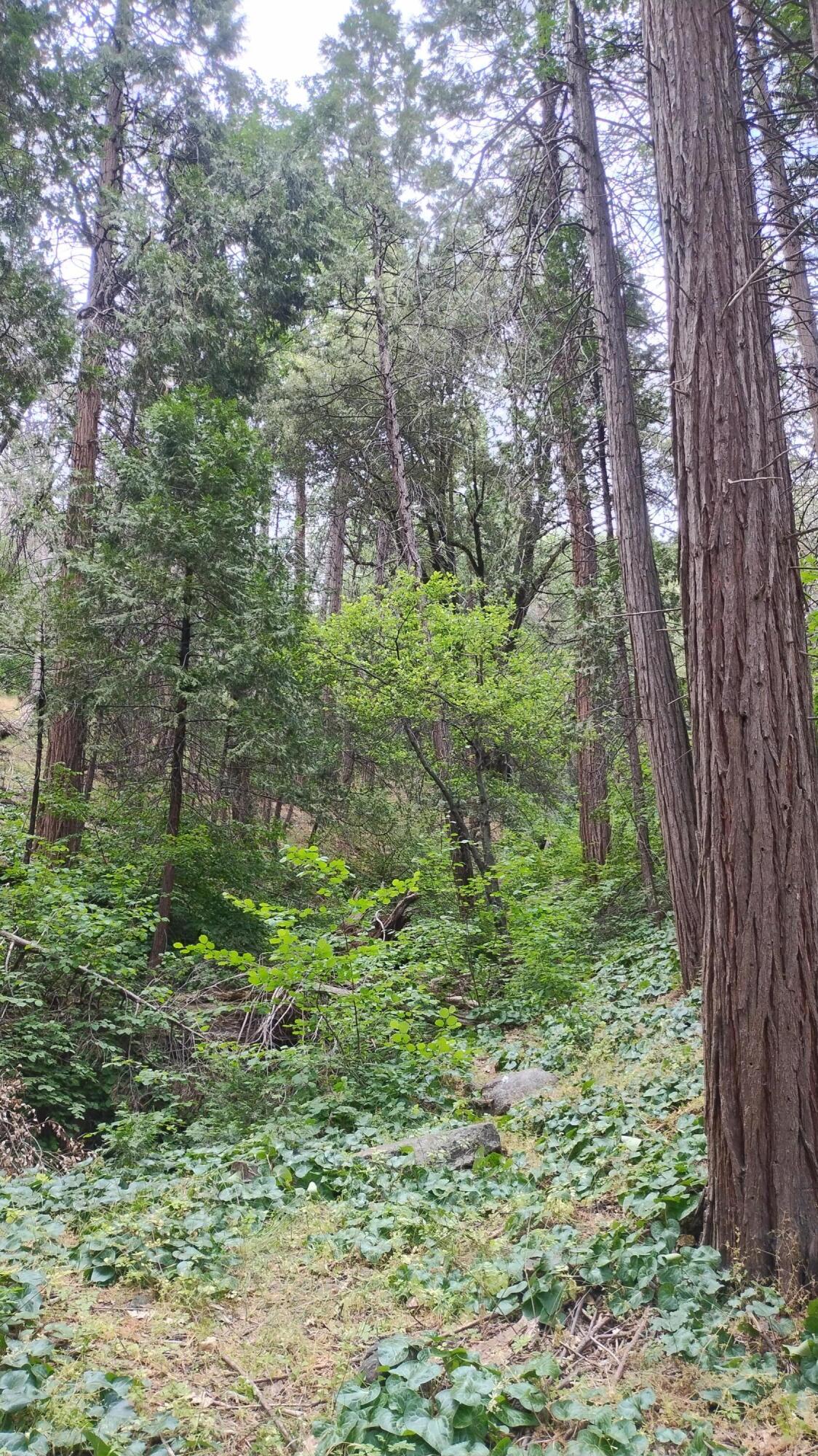 00 Mariposa Drive