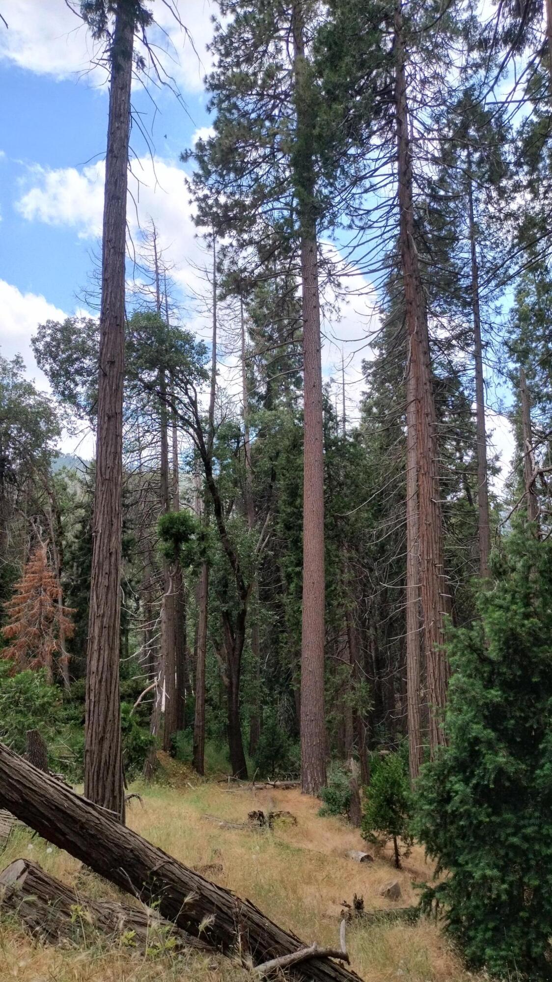 00 Mariposa Drive