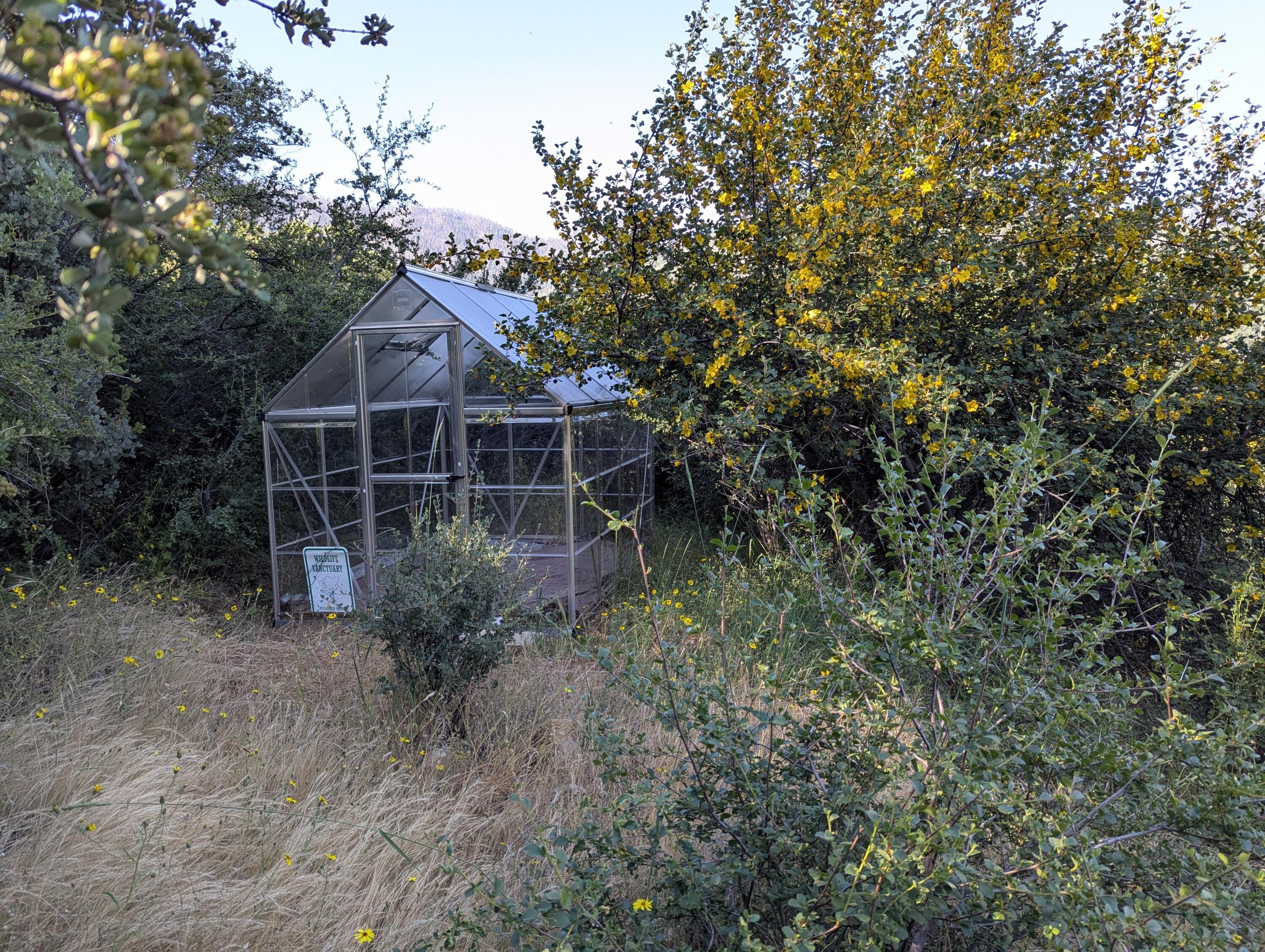 00 Mariposa Drive