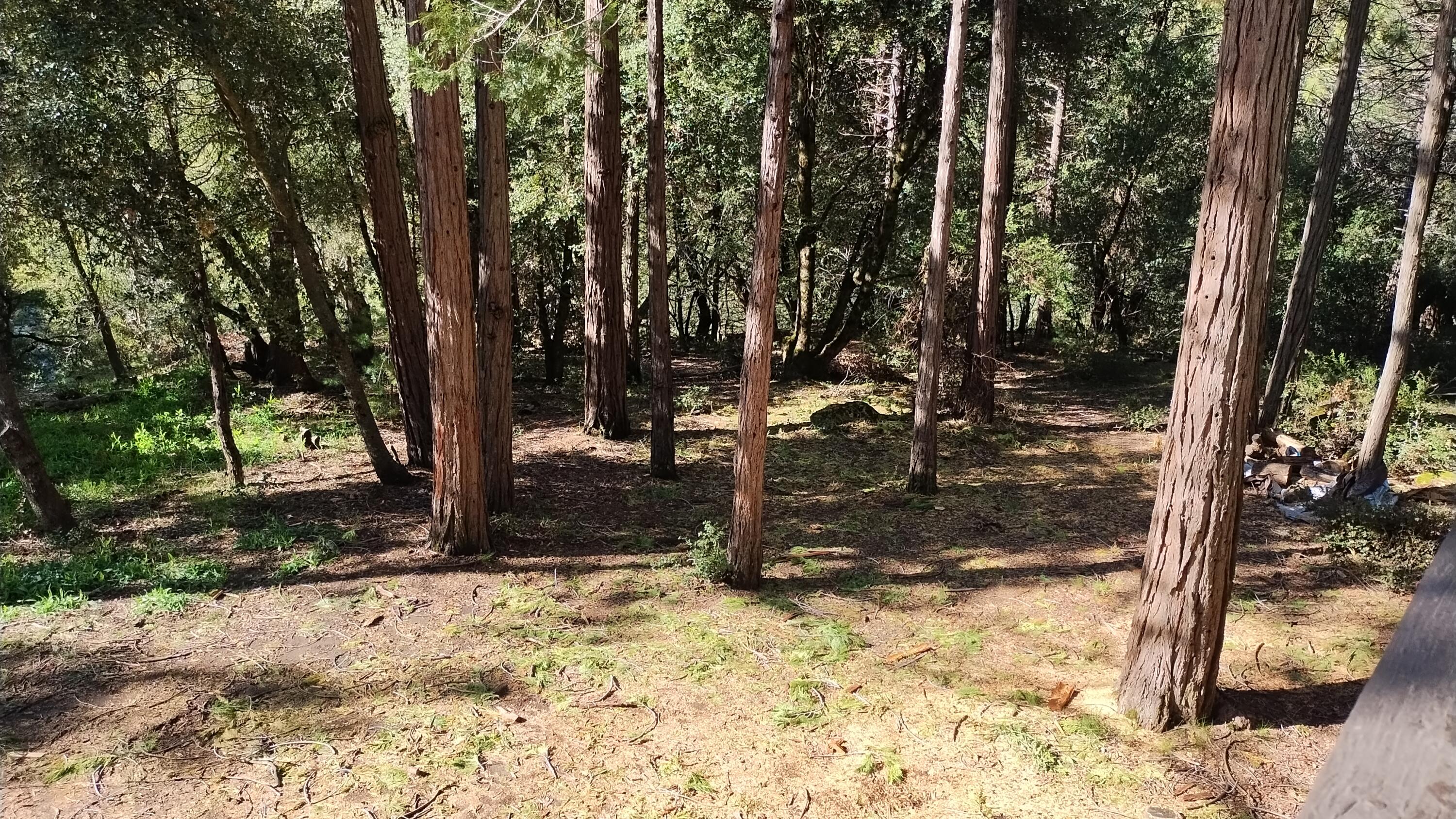 1693 Coy Flat Drive