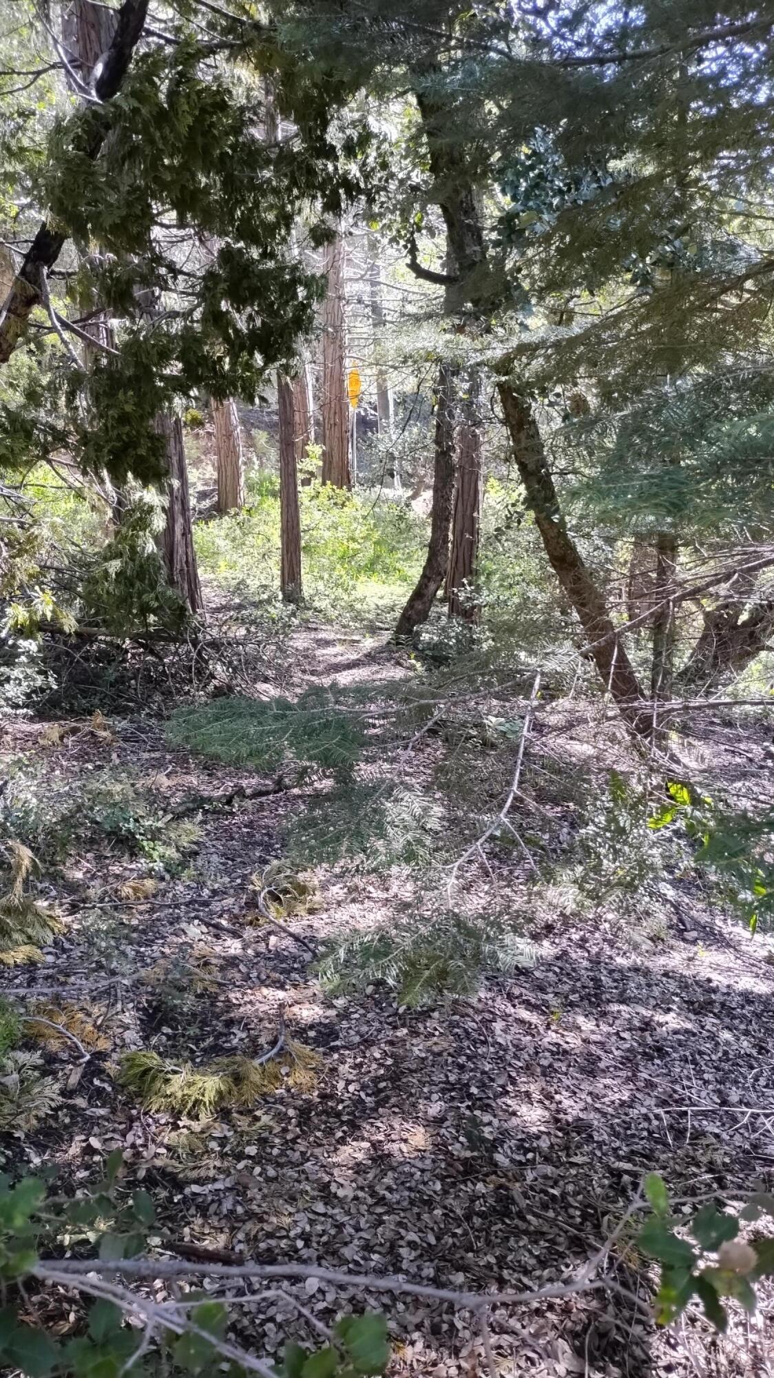 1693 Coy Flat Drive