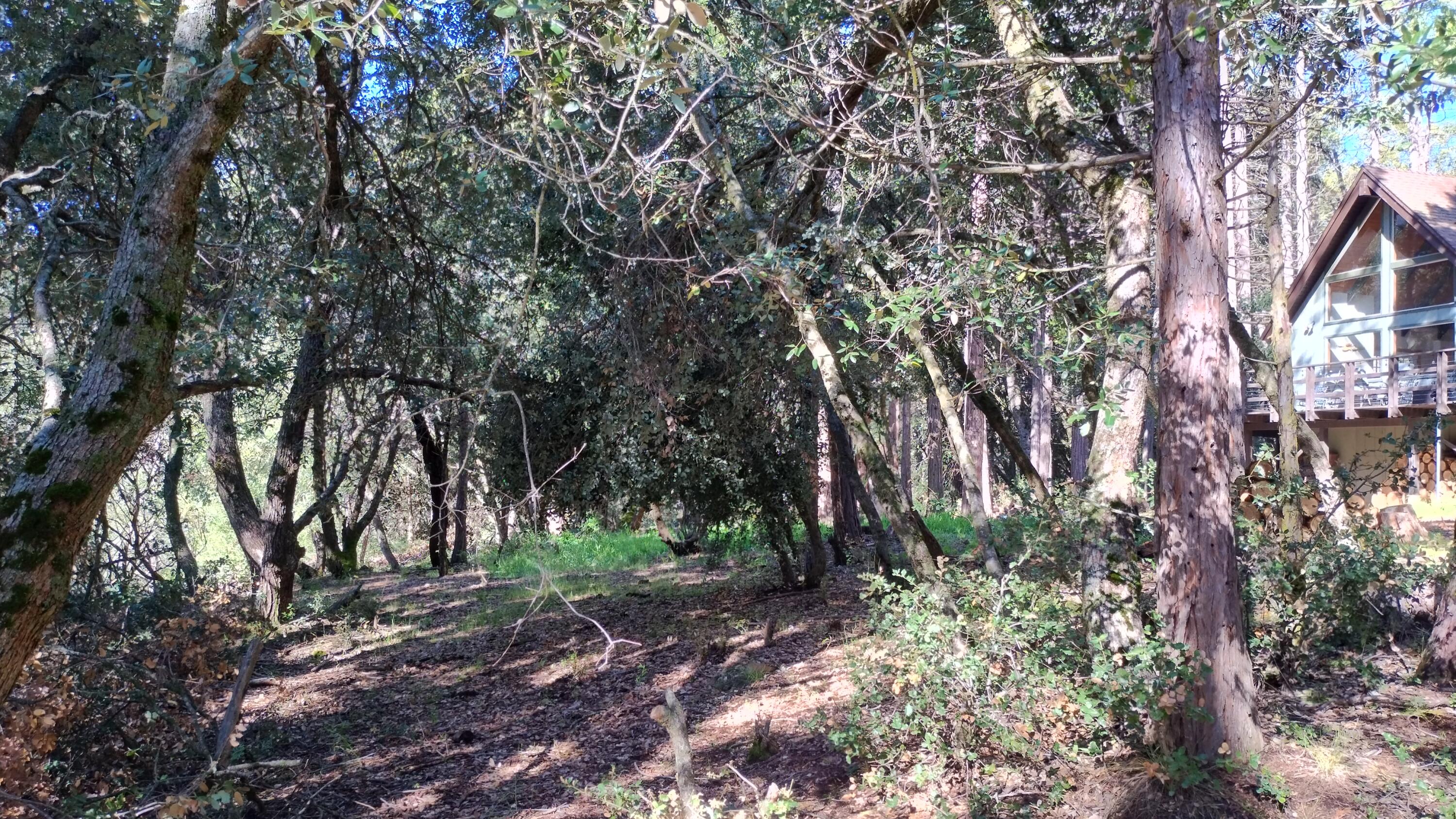 1693 Coy Flat Drive