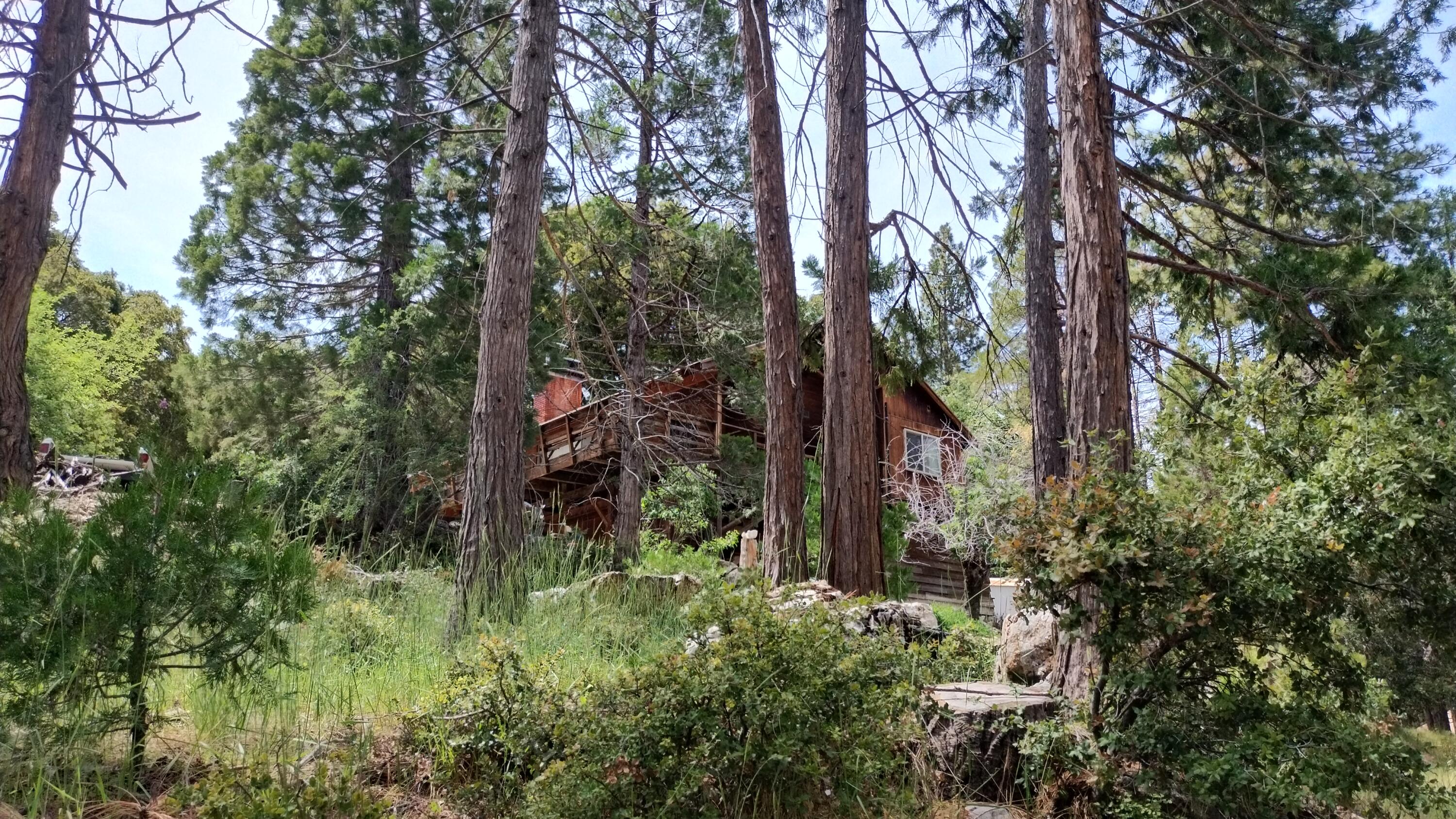 538 Acorn Drive