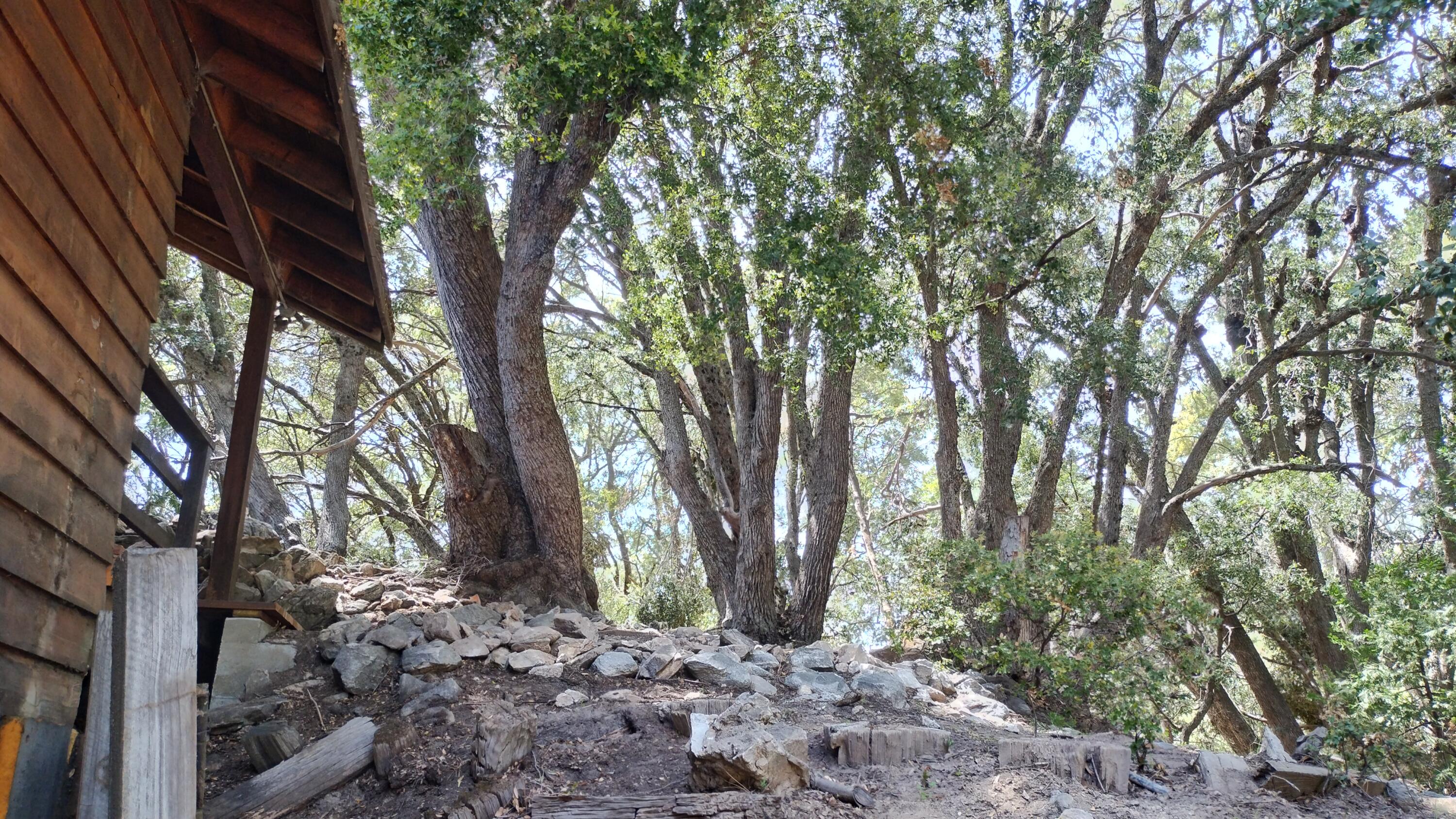 538 Acorn Drive