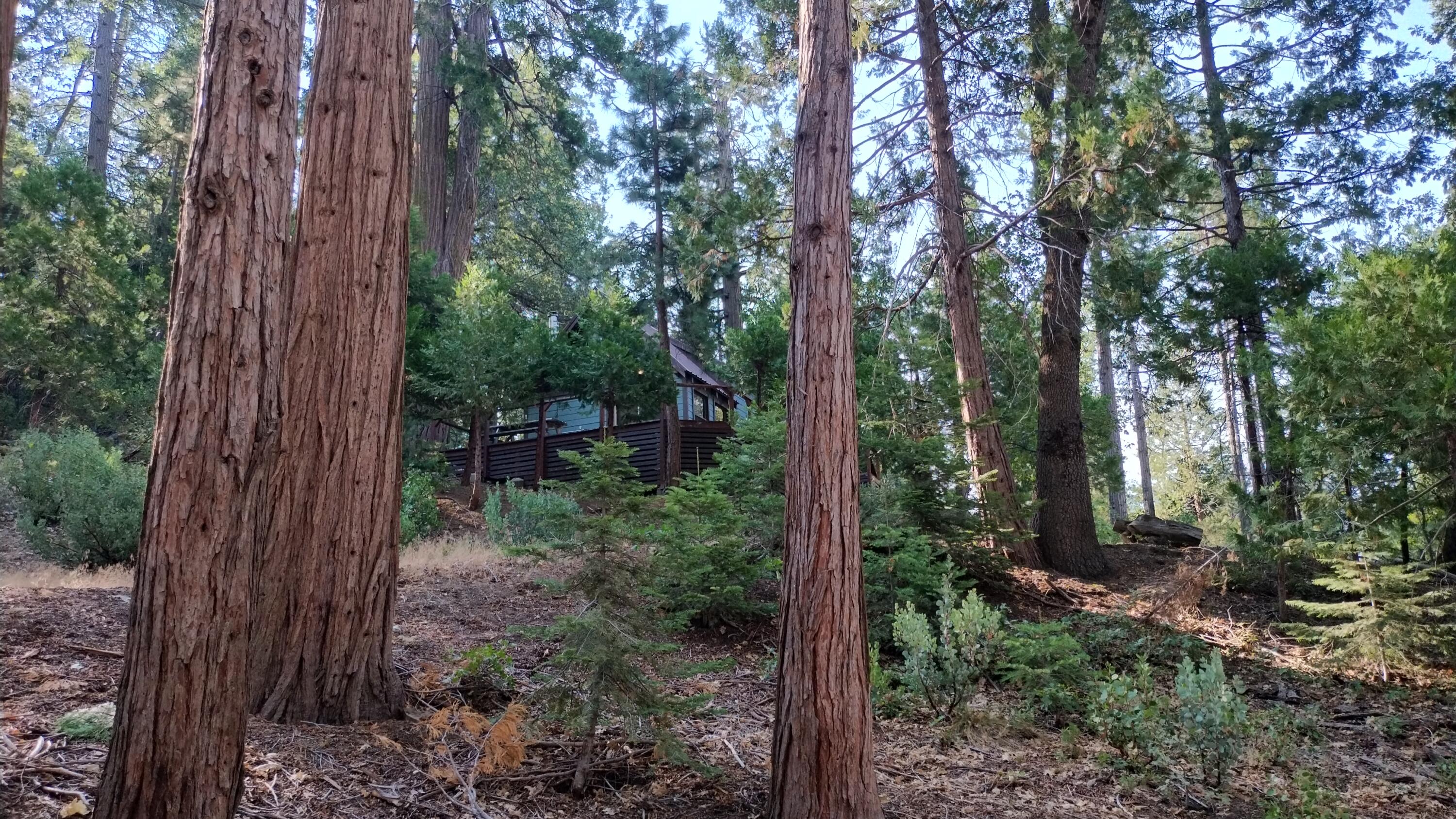 51837 Cedar Road