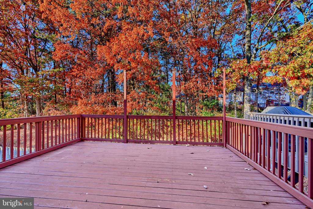 12 Shrewsbury Ct