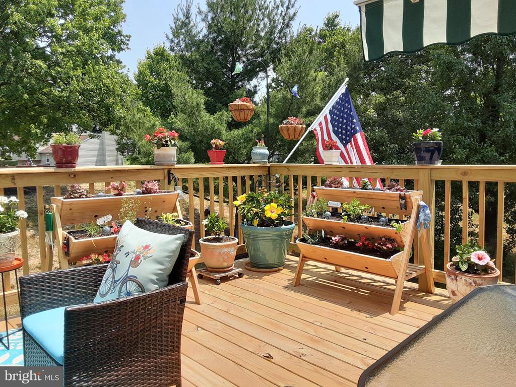 3701 FOXFORD STREAM ROAD