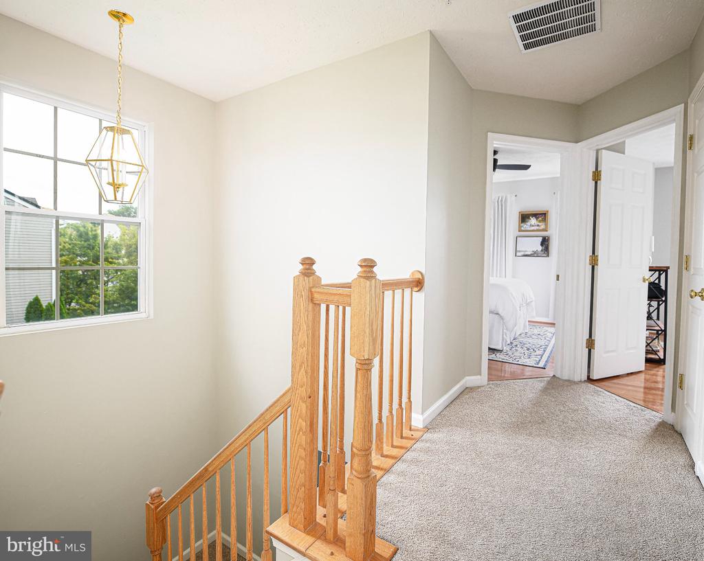 24 HALLSDALE