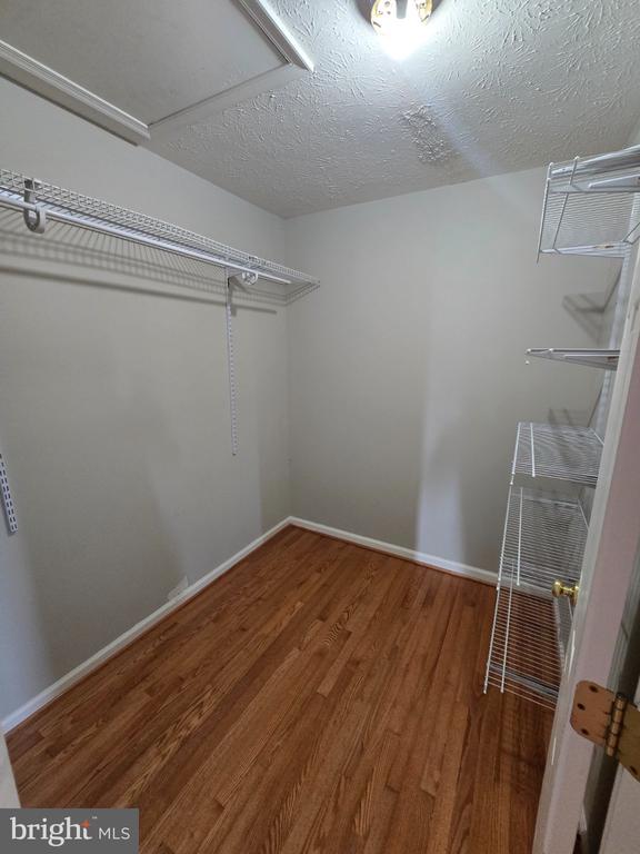 24 HALLSDALE COURT