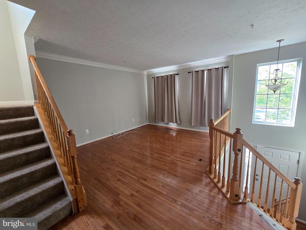 24 HALLSDALE COURT