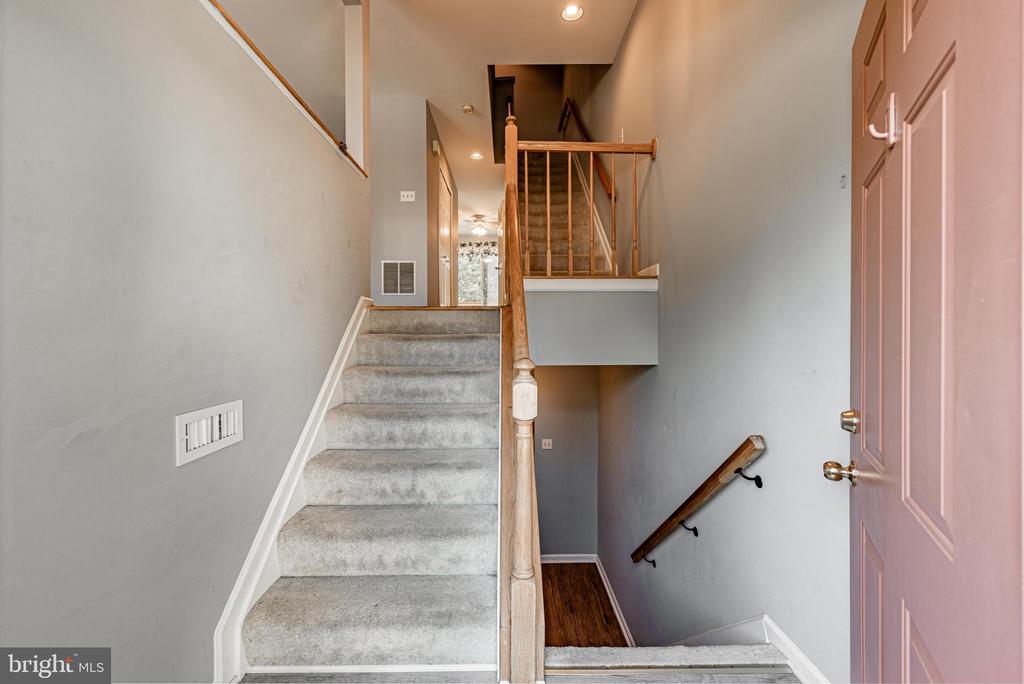 6115 LITTLE FOXES RUN