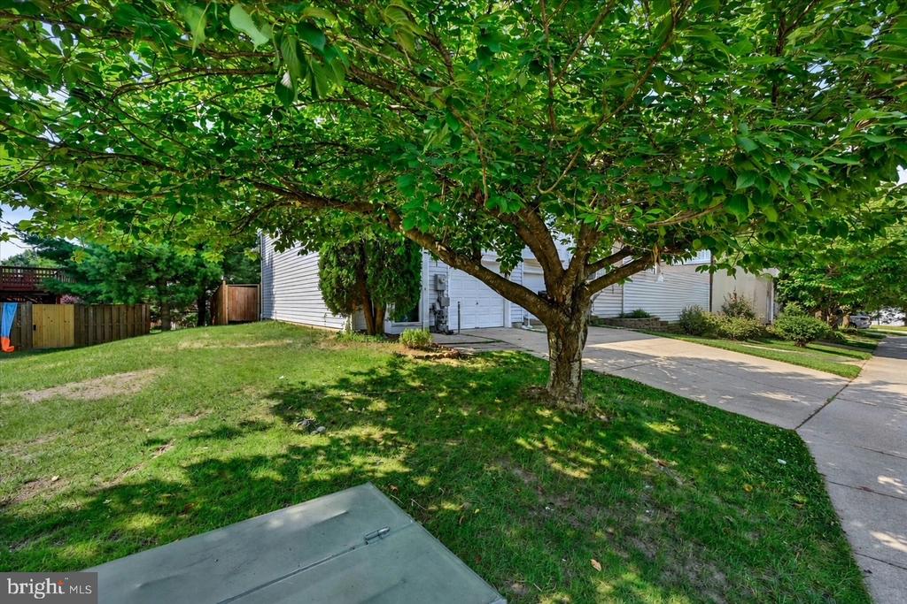 3325 HOLLOW COURT