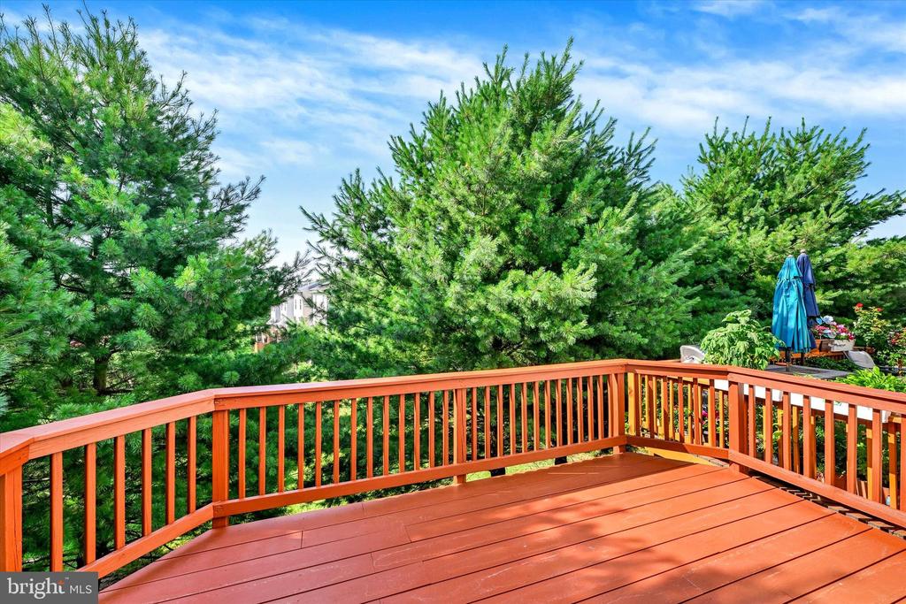 3325 HOLLOW COURT