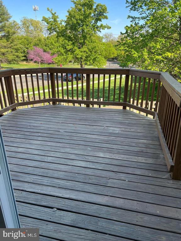 11702 ZEBRAWOOD COURT