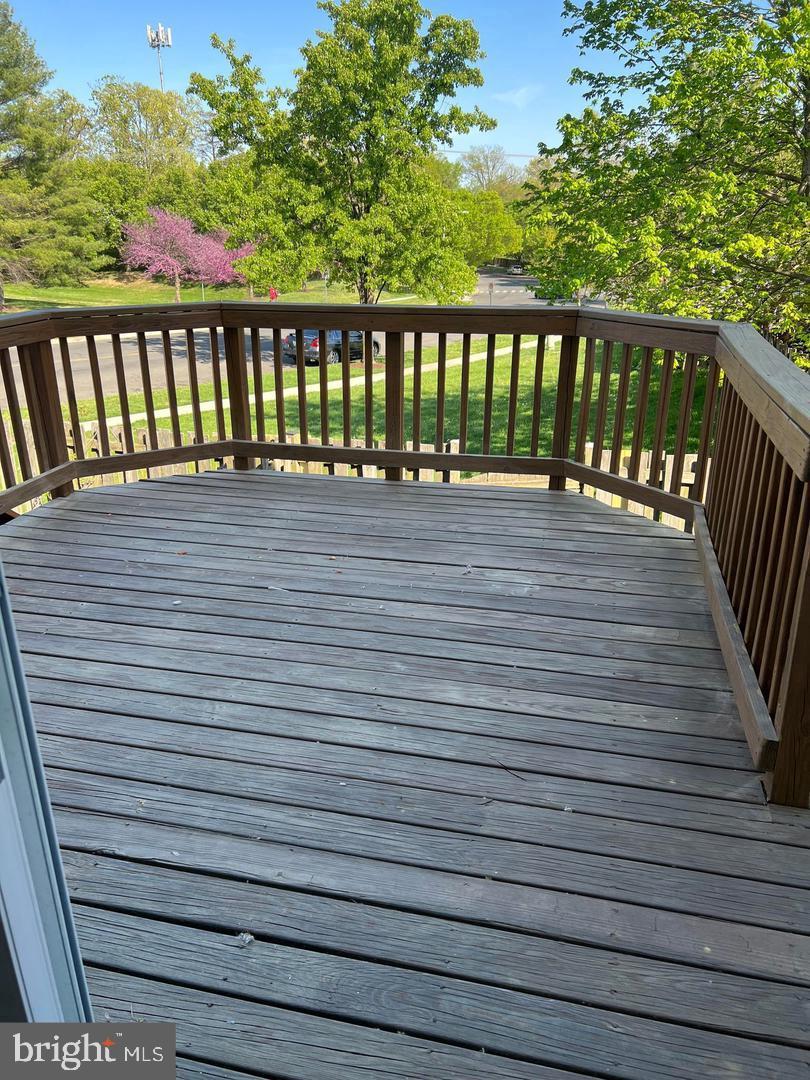 11702 ZEBRAWOOD COURT