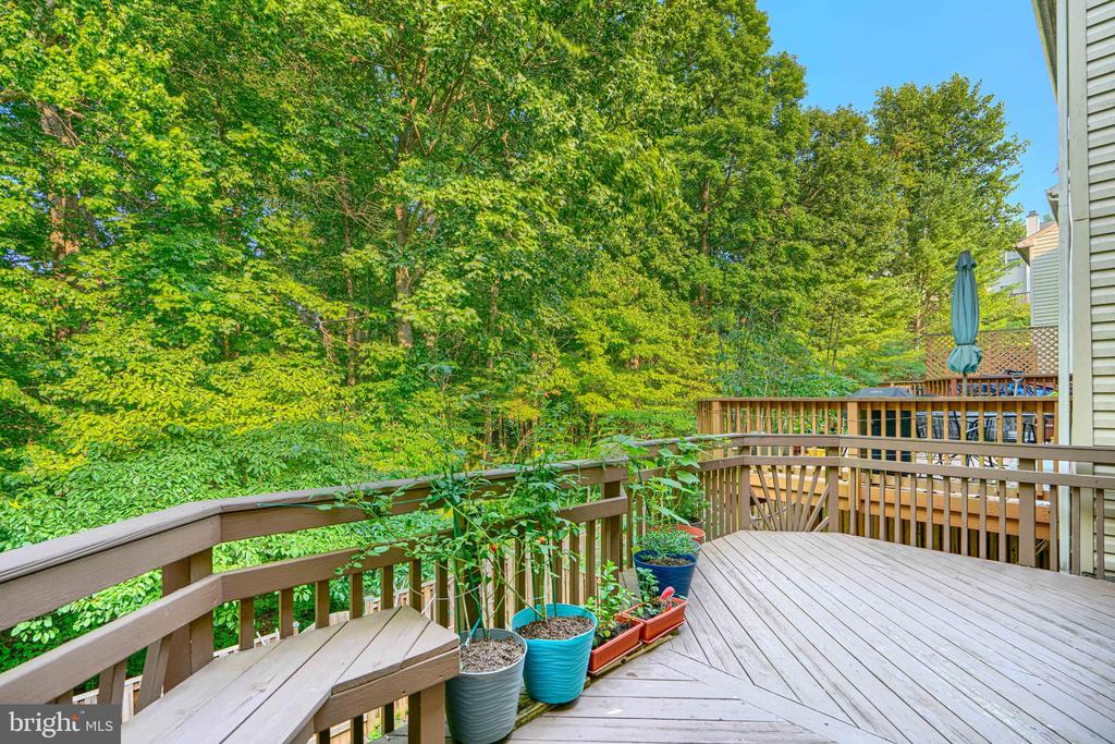 11111 LITTLE FOX LANE