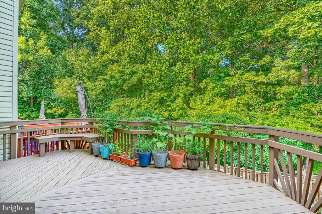 11111 LITTLE FOX LANE