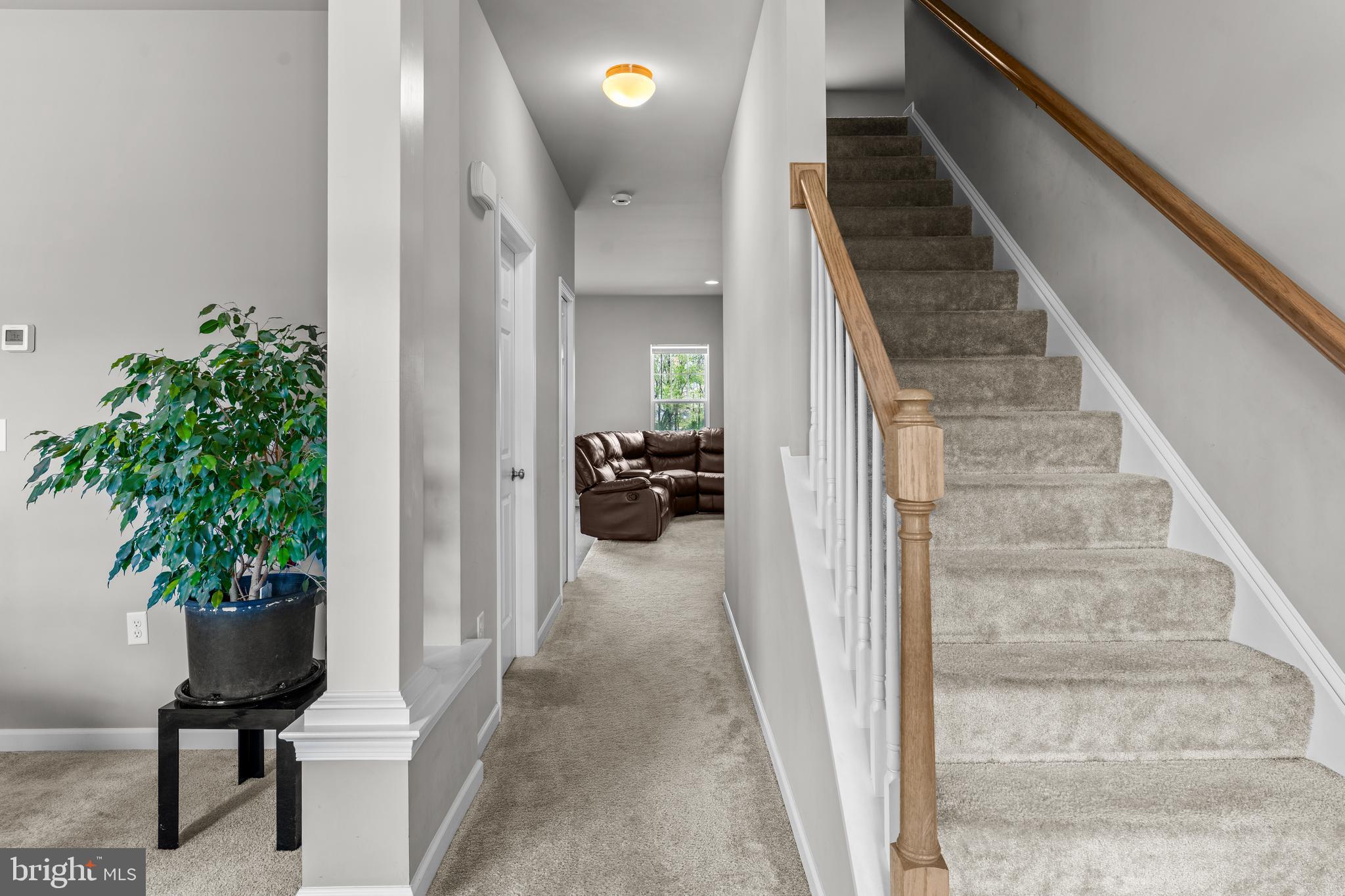 875 ASHFIELD DRIVE