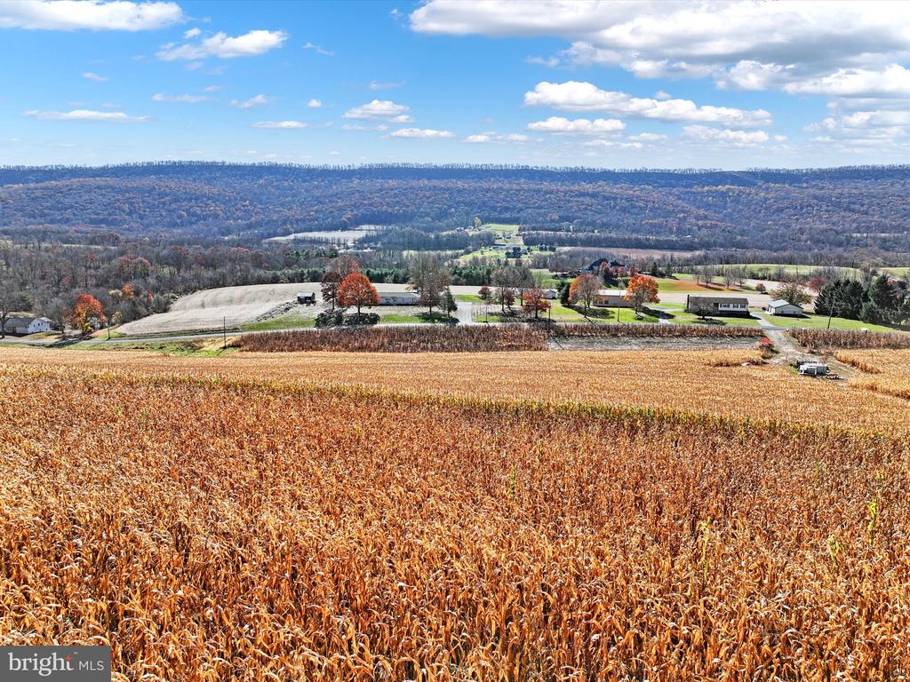318 Matamoras Rd