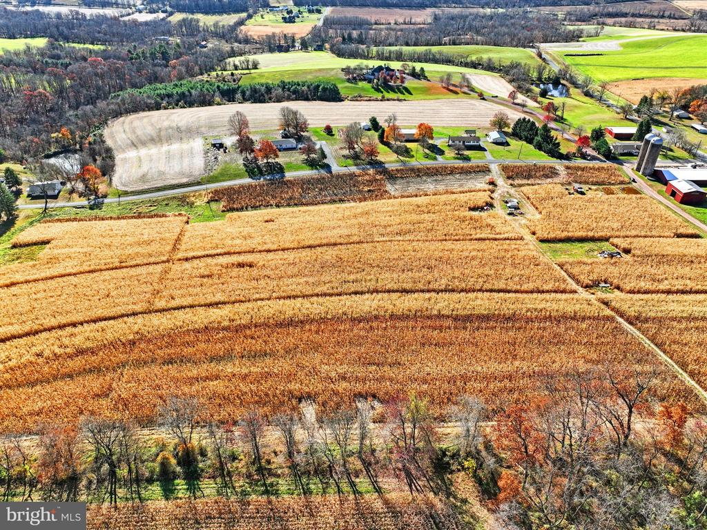 318 Matamoras Rd