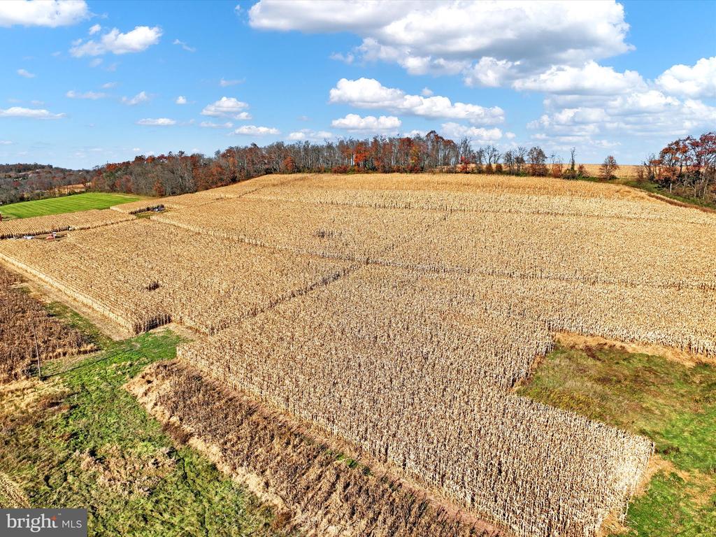 318 Matamoras Rd