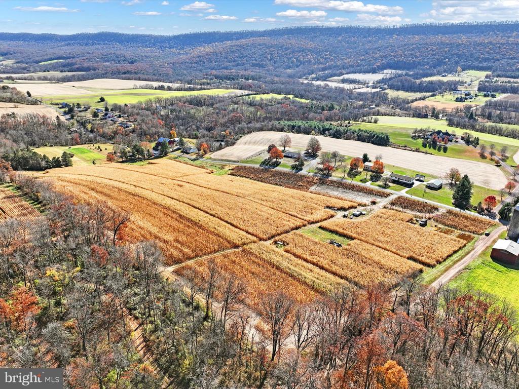 318 Matamoras Rd