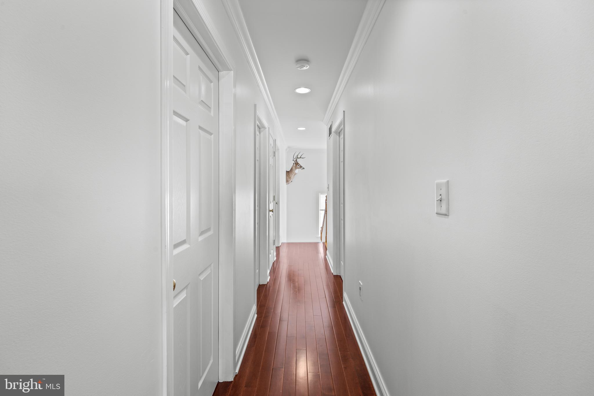 271 SQUIRE LANE