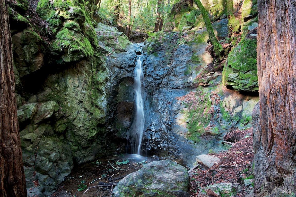 355 Tamalpais Avenue