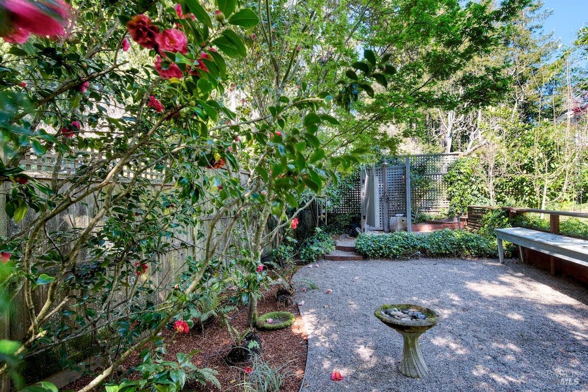 225 Blithedale Avenue