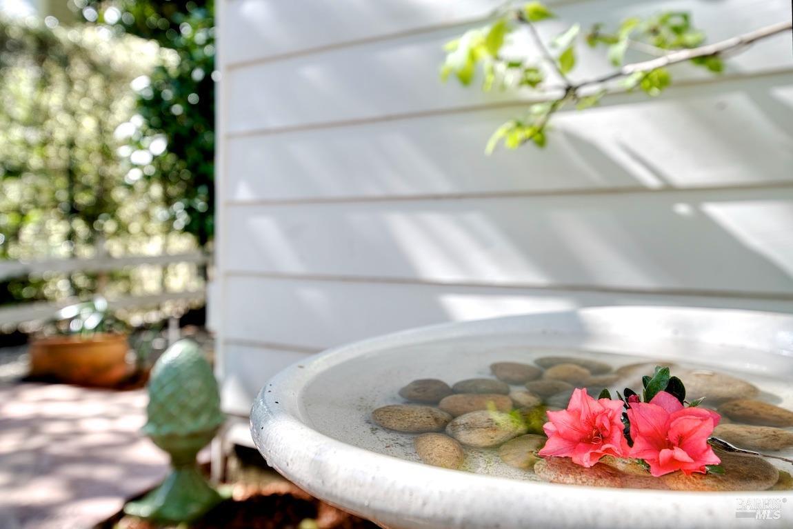 225 Blithedale Avenue