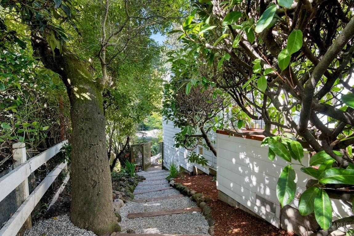 225 Blithedale Avenue