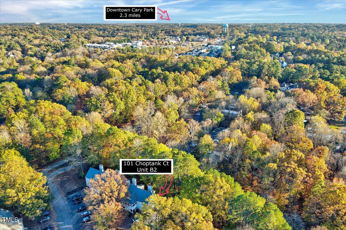 101 Choptank Court # B2