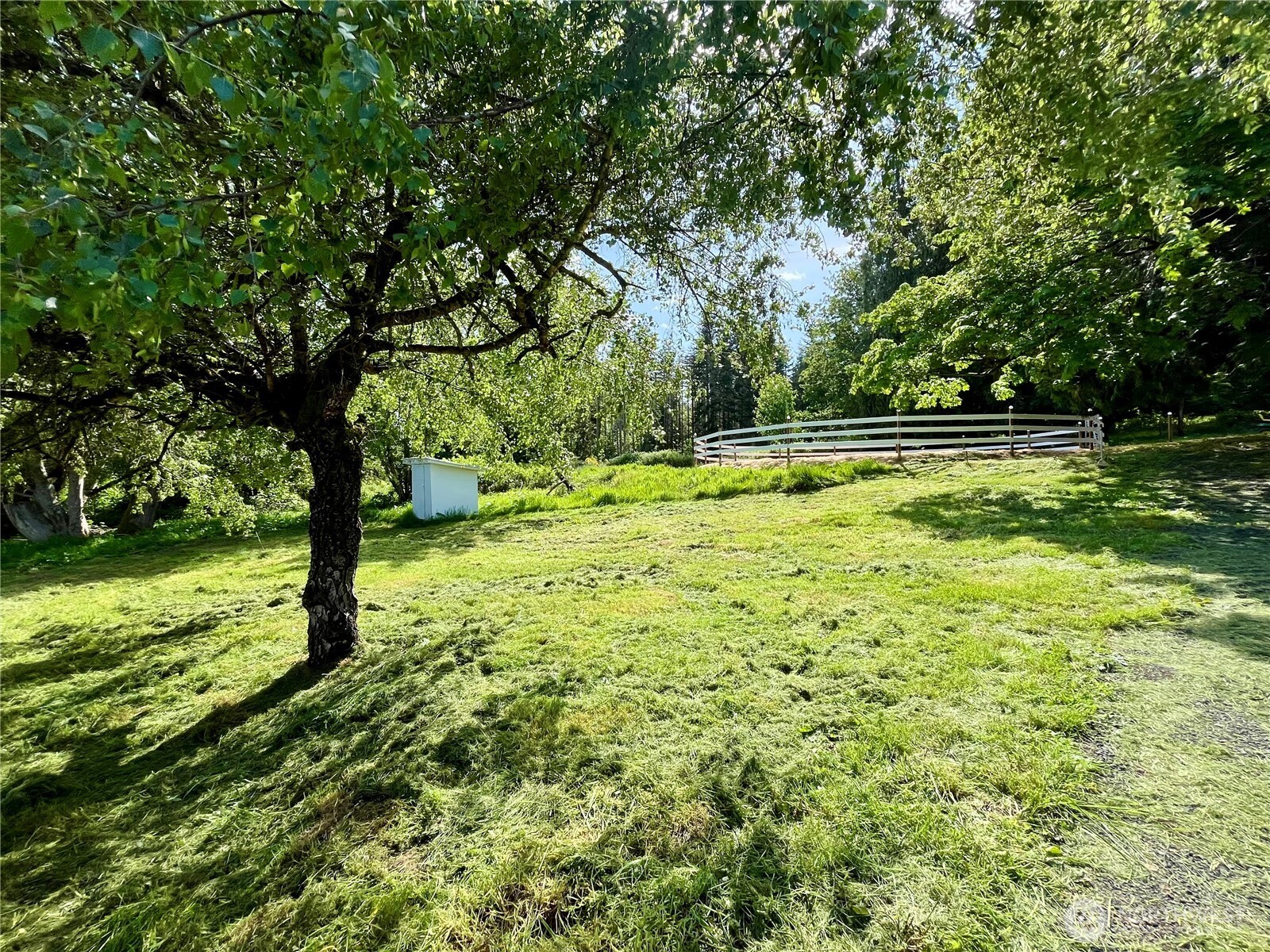 41 E Agate Loop Road