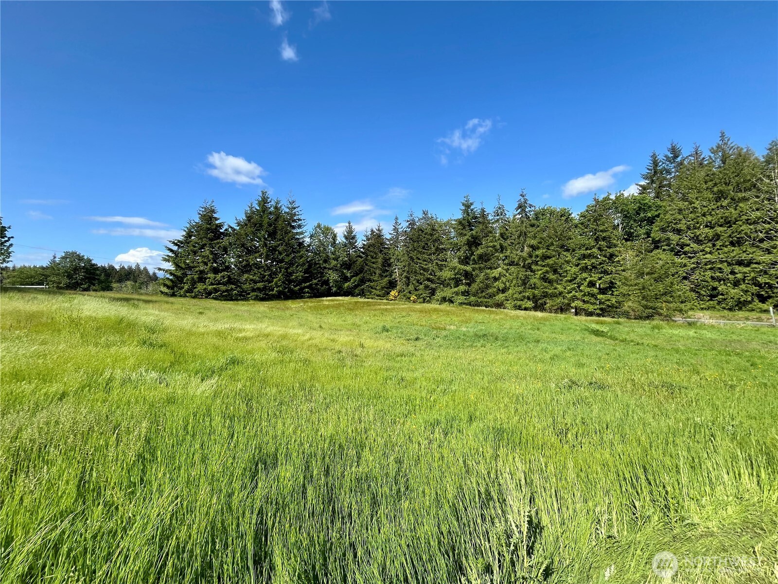 41 E Agate Loop Road