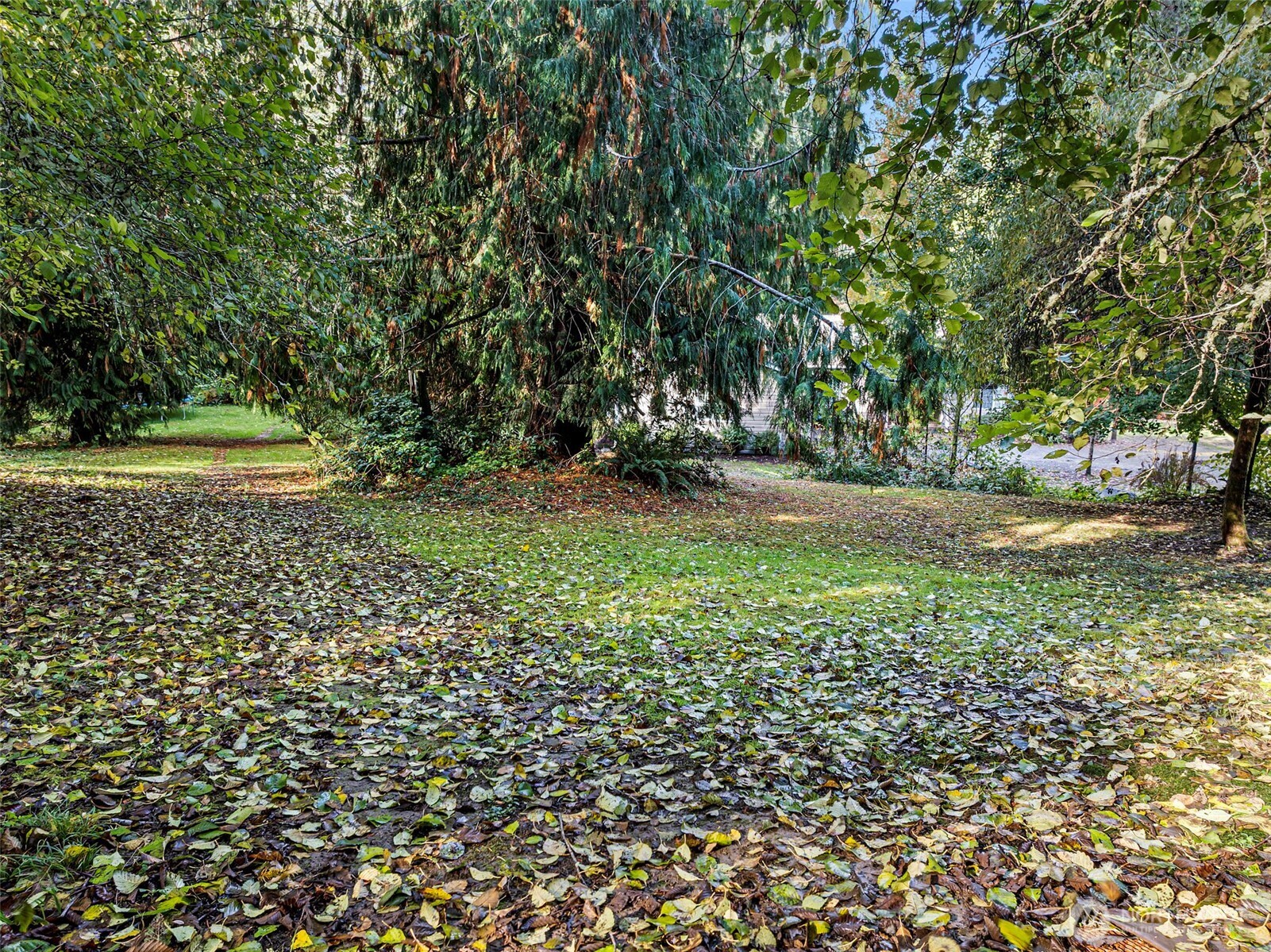 2212 184th Avenue SW