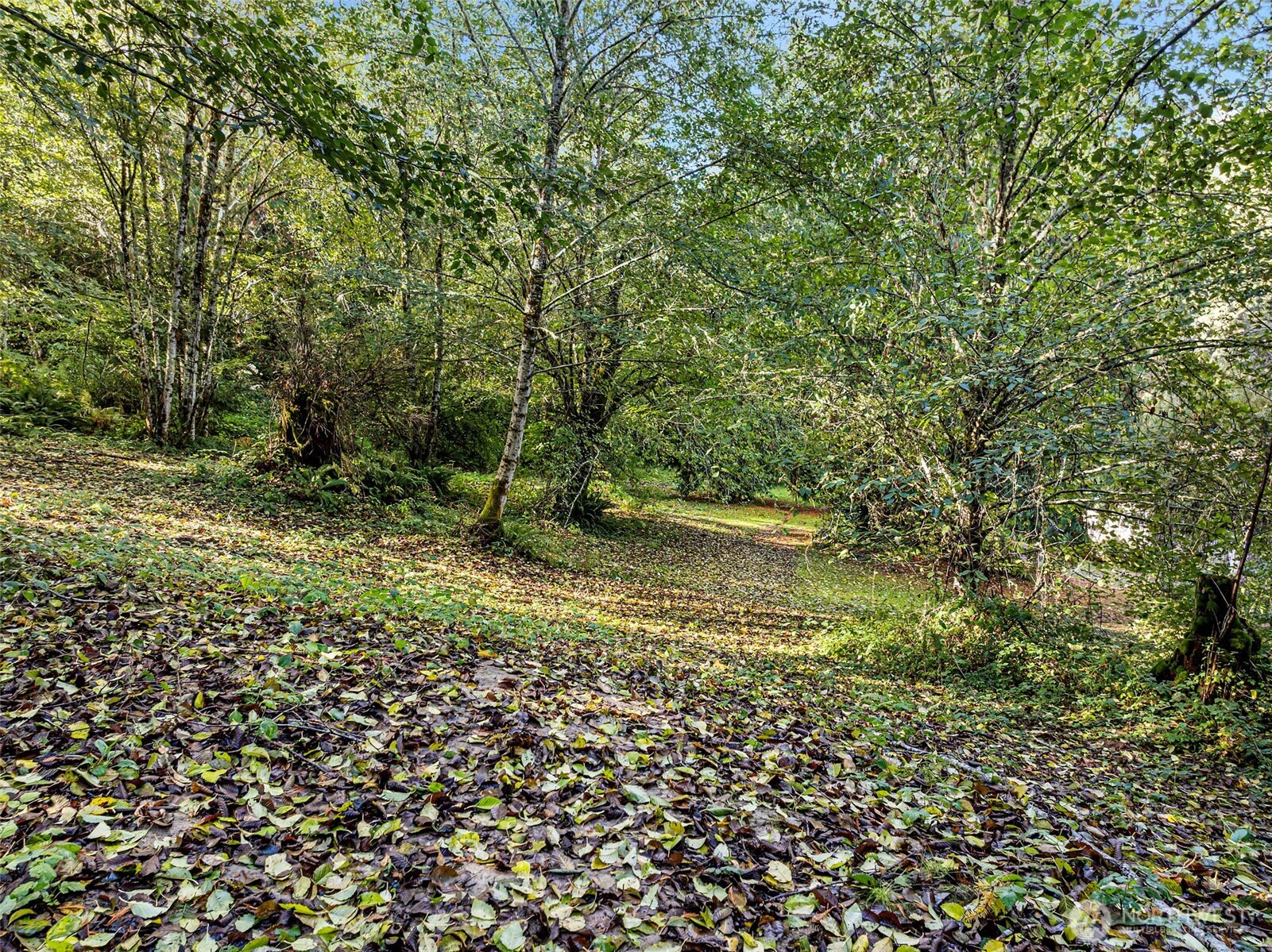 2212 184th Avenue SW