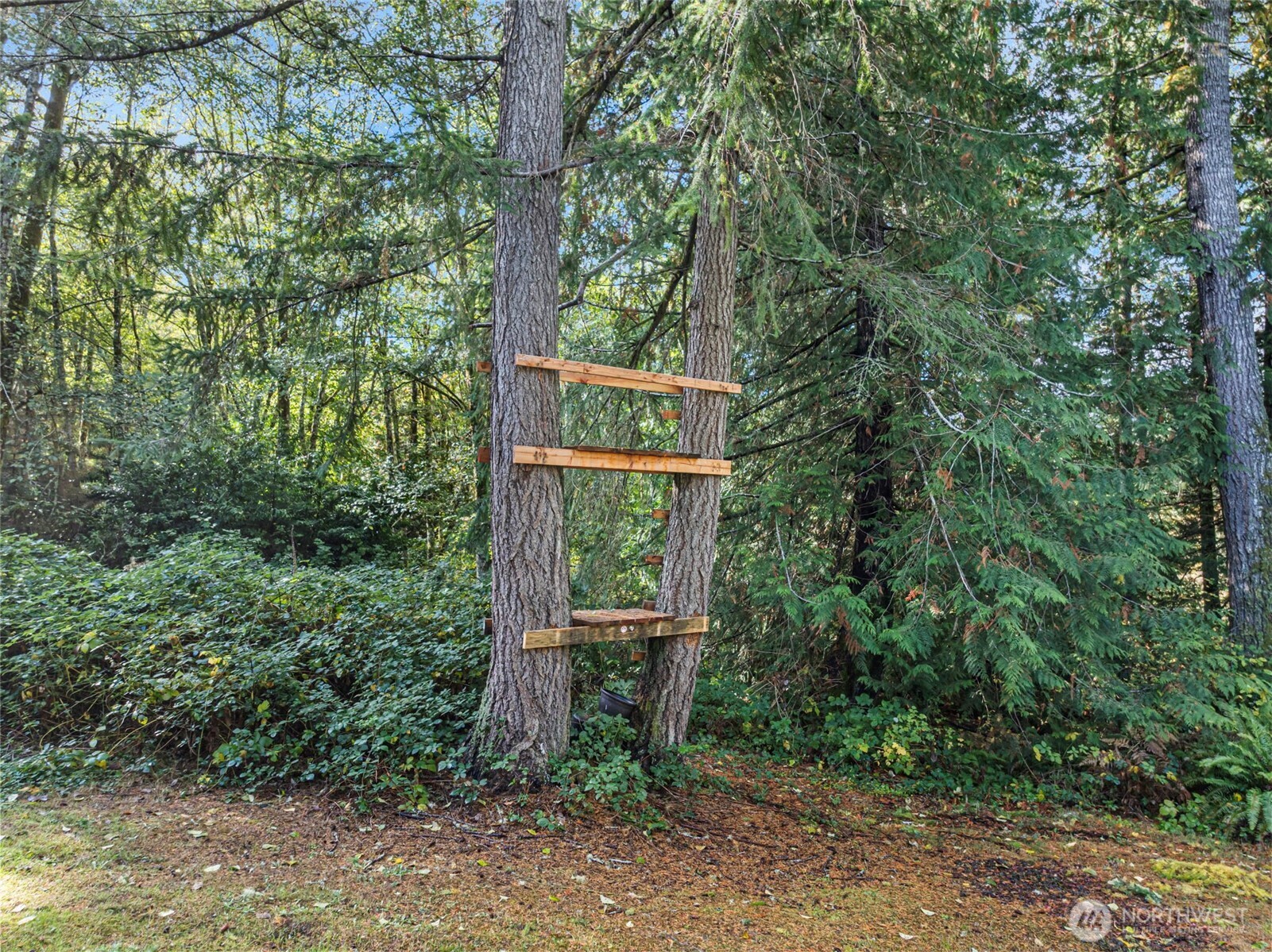 2212 184th Avenue SW