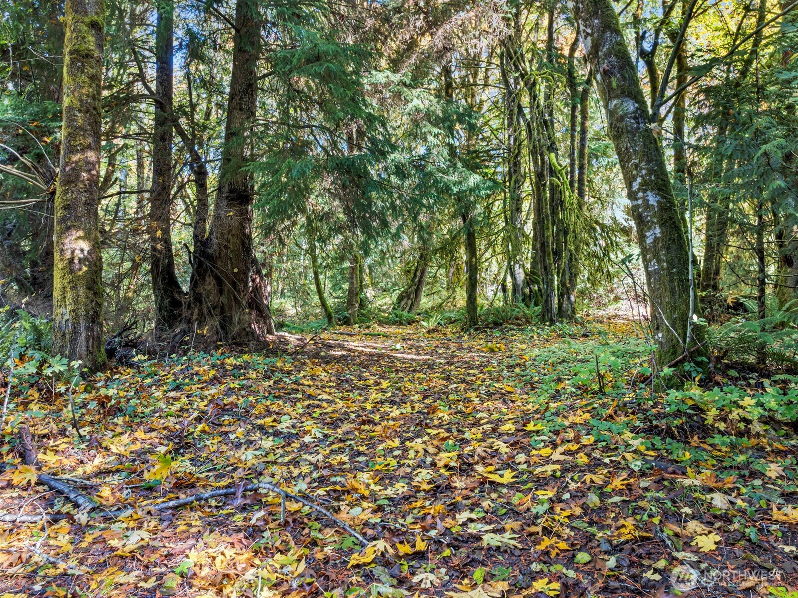 2212 184th Avenue SW