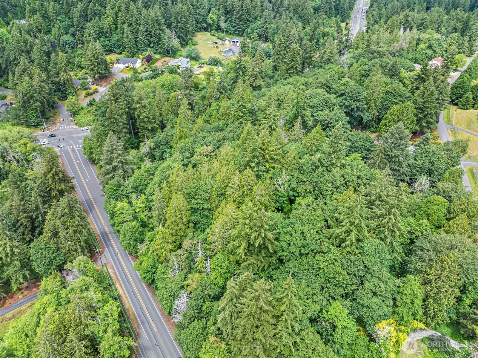 Aerial view of dense woodland beside a road and intersection, with several homes nearby.